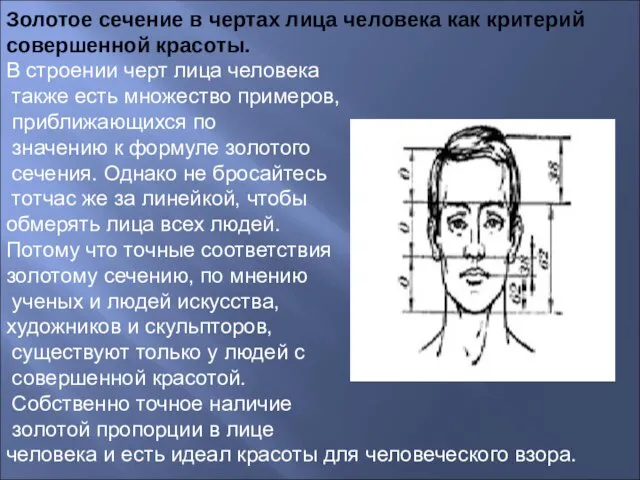 Золотое сечение в чертах лица человека как критерий совершенной красоты. В строении