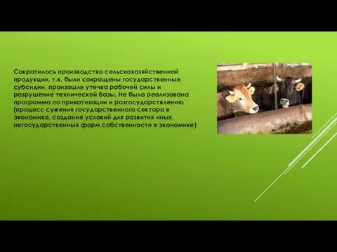 Сократилось производство сельскохозяйственной продукции, т.к. были сокращены государственные субсидии, произошли утечка рабочей