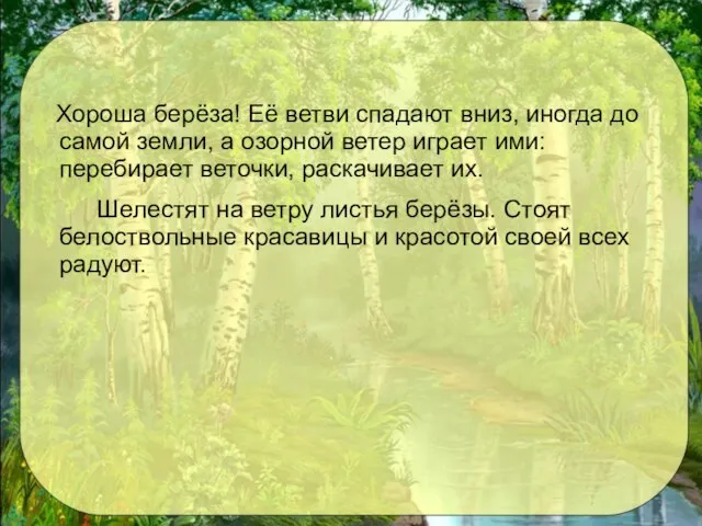 Хороша берёза! Её ветви спадают вниз, иногда до самой земли, а озорной