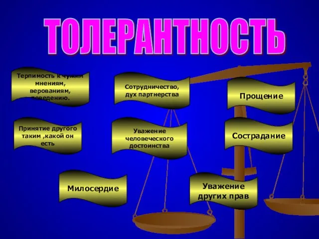 ТОЛЕРАНТНОСТЬ Терпимость к чужим мнениям, верованиям, поведению. Принятие другого таким ,какой он