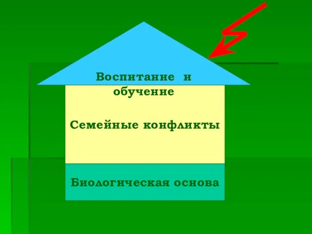 Биологическая основа Семейные конфликты Воспитание и обучение