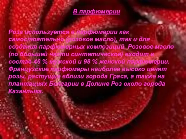 В парфюмерии В парфюмерии Роза используется в парфюмерии как самостоятельно (розовое масло),