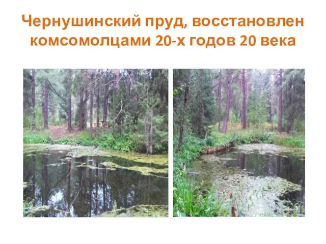 Чернушинский пруд, восстановлен комсомолцами 20-х годов 20 века