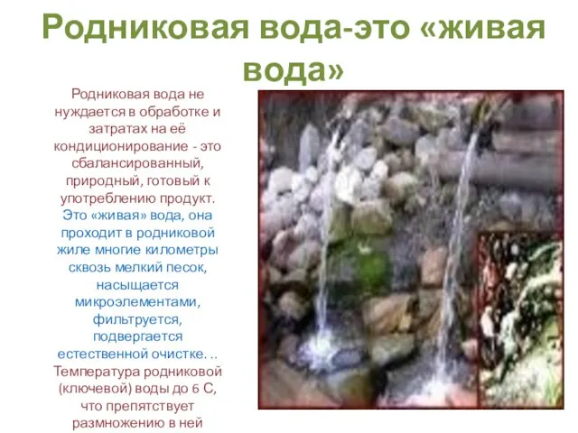 Родниковая вода-это «живая вода» Родниковая вода не нуждается в обработке и затратах