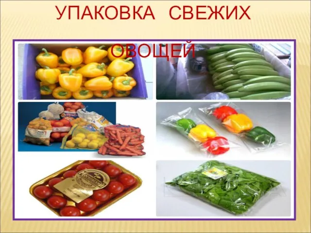 УПАКОВКА СВЕЖИХ ОВОЩЕЙ