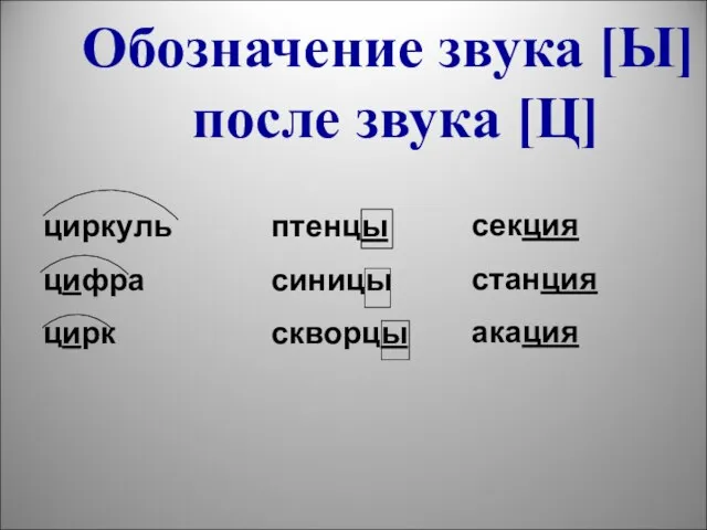 Обозначение звука [Ы] после звука [Ц] циркуль цифра цирк птенцы синицы скворцы секция станция акация