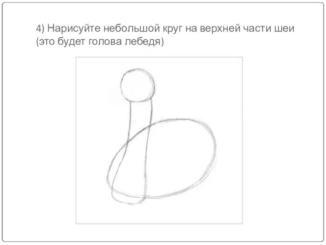 4) Нарисуйте небольшой круг на верхней части шеи (это будет голова лебедя)