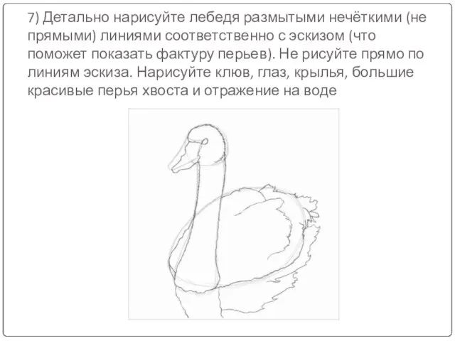 7) Детально нарисуйте лебедя размытыми нечёткими (не прямыми) линиями соответственно с эскизом