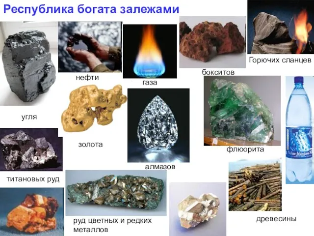 Республика богата залежами угля нефти газа бокситов титановых руд золота алмазов флюорита