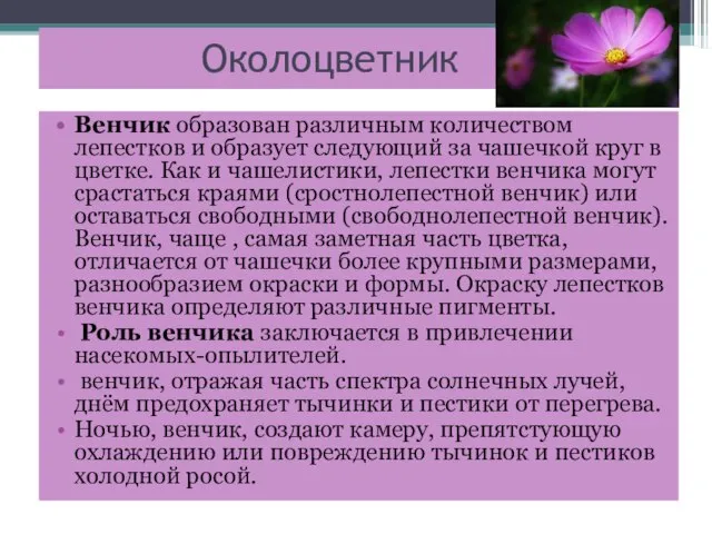 Околоцветник Венчик образован различным количеством лепестков и образует следующий за чашечкой круг