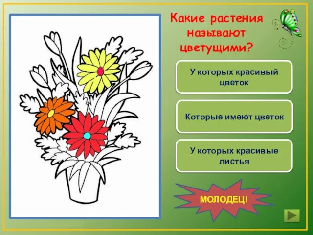 У которых красивый цветок Которые имеют цветок У которых красивые листья МОЛОДЕЦ! Какие растения называют цветущими?