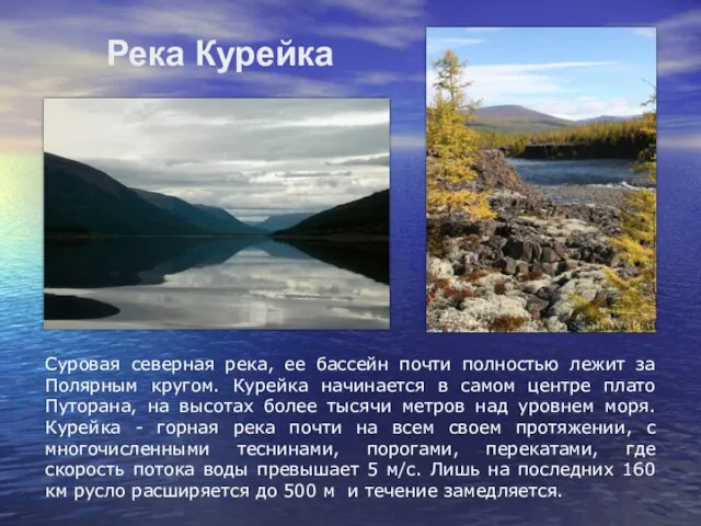 Река Курейка Суровая северная река, ее бассейн почти полностью лежит за Полярным