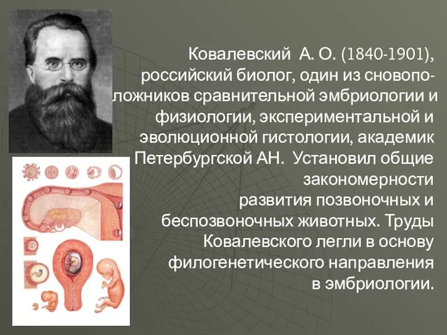 Ковалевский А. О. (1840-1901), российский биолог, один из сновопо- ложников сравнительной эмбриологии