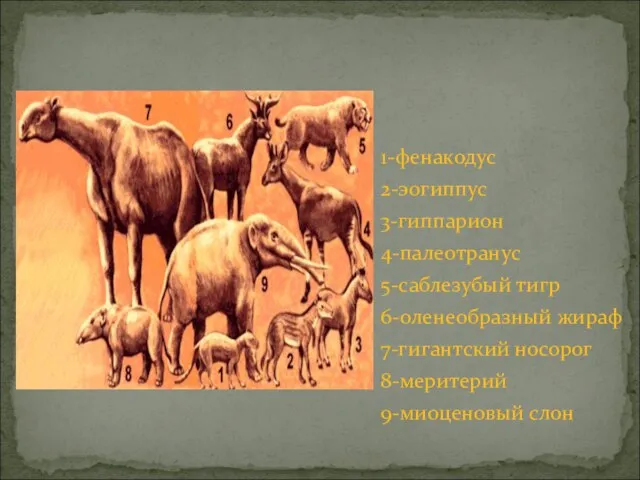 1-фенакодус 2-эогиппус 3-гиппарион 4-палеотранус 5-саблезубый тигр 6-оленеобразный жираф 7-гигантский носорог 8-меритерий 9-миоценовый слон