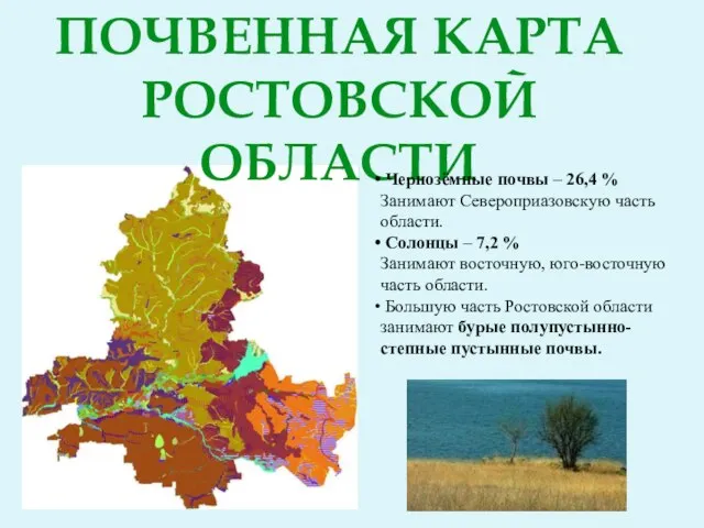 ПОЧВЕННАЯ КАРТА РОСТОВСКОЙ ОБЛАСТИ Чернозёмные почвы – 26,4 % Занимают Североприазовскую часть