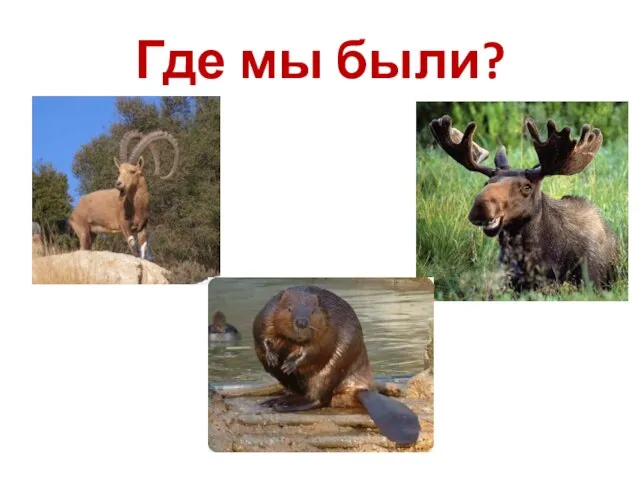 Где мы были?