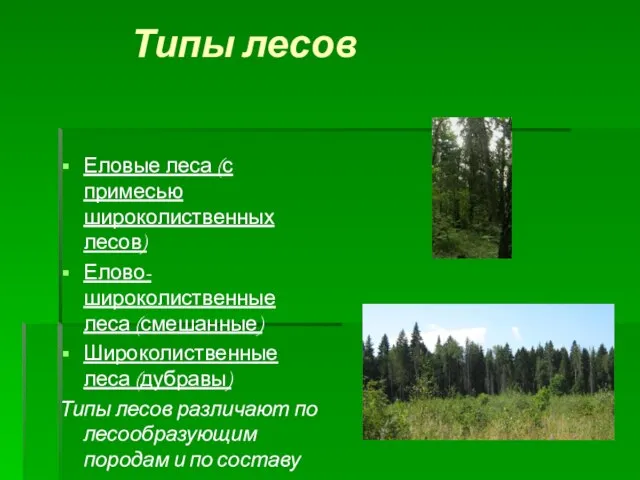 Типы лесов Еловые леса (с примесью широколиственных лесов) Елово-широколиственные леса (смешанные) Широколиственные