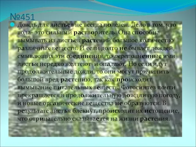 №451 Дождь для листьев не всегда полезен. Дело в том, что вода-