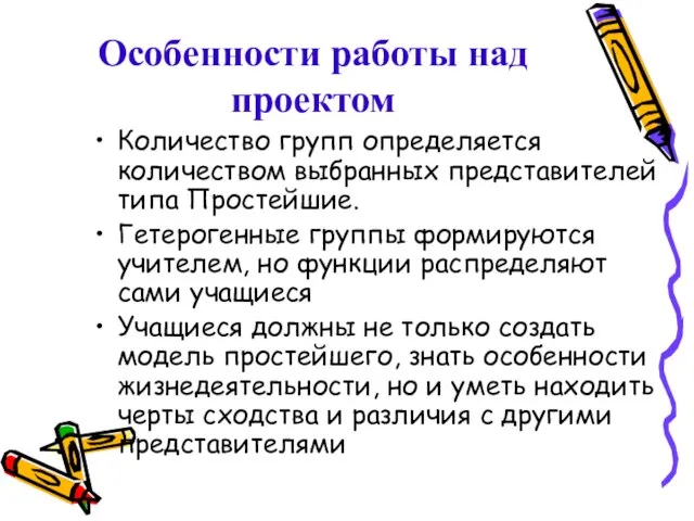 Особенности работы над проектом Количество групп определяется количеством выбранных представителей типа Простейшие.