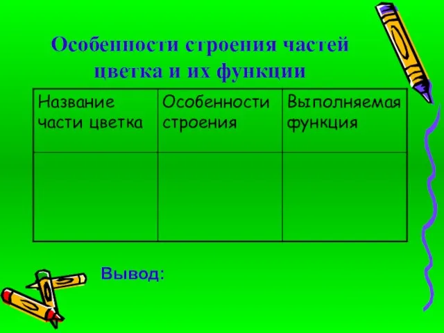 Особенности строения частей цветка и их функции Вывод: