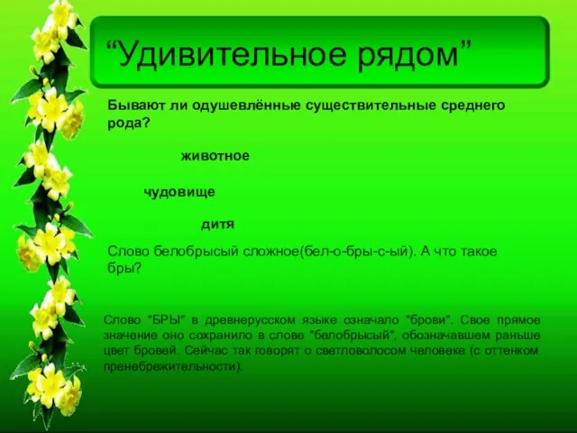 “Удивительное рядом” Бывают ли одушевлённые существительные среднего рода? животное чудовище дитя Слово