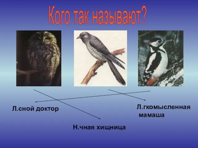 Кого так называют? Л.сной доктор Н.чная хищница Л.гкомысленная мамаша