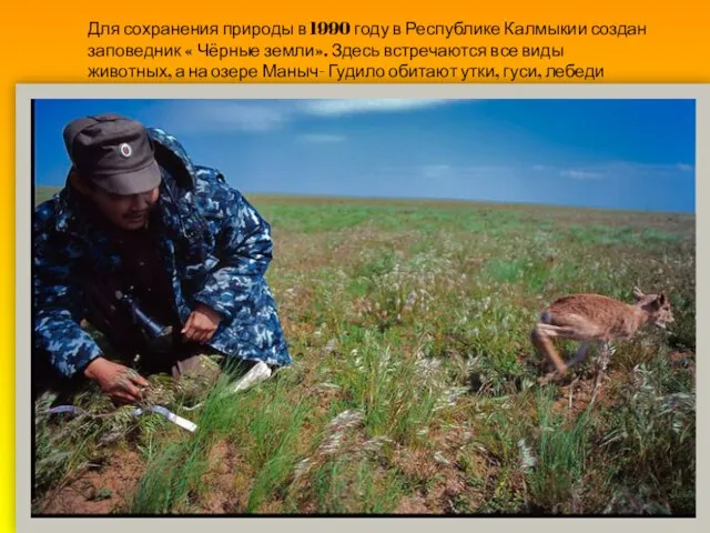 Для сохранения природы в 1990 году в Республике Калмыкии создан заповедник «