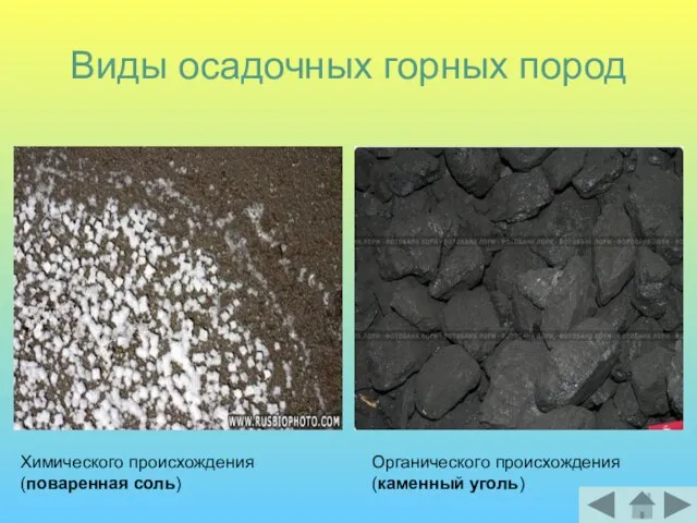 Виды осадочных горных пород Химического происхождения (поваренная соль) Органического происхождения (каменный уголь)