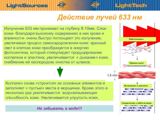 Действие лучей 633 нм Излучение 633 мм проникает на глубину 8-10мм. Слои