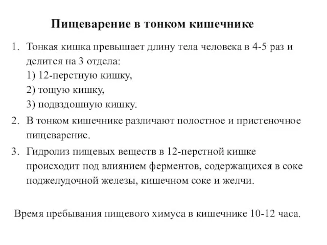 Пищеварение в тонком кишечнике Тонкая кишка превышает длину тела человека в 4-5