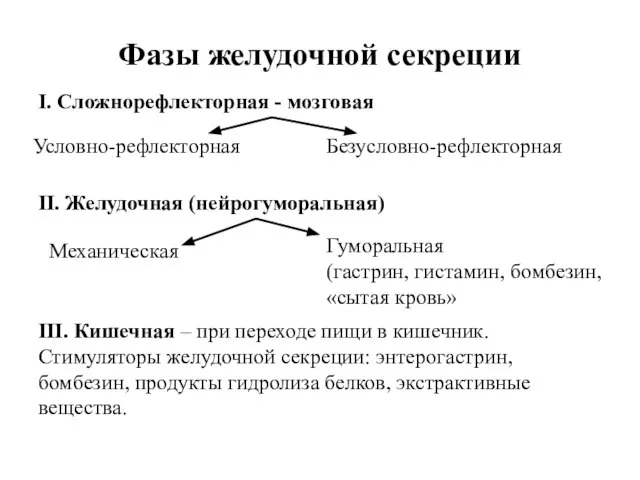 Фазы желудочной секреции I. Сложнорефлекторная - мозговая III. Кишечная – при переходе