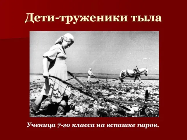 Дети-труженики тыла Ученица 7-го класса на вспашке паров.