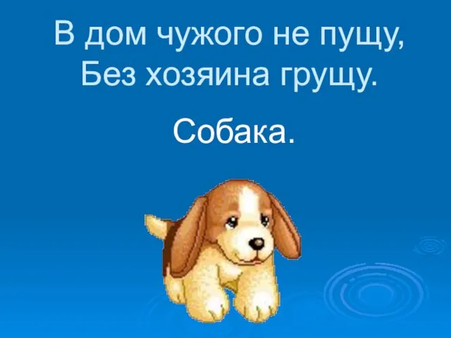 В дом чужого не пущу, Без хозяина грущу. Собака.