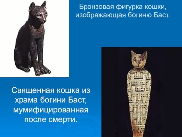 Бронзовая фигурка кошки, изображающая богиню Баст. Священная кошка из храма богини Баст, мумифицированная после смерти.