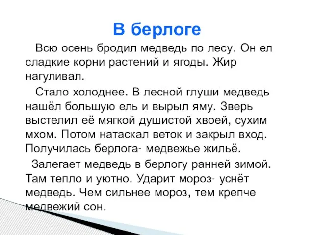 Всю осень бродил медведь по лесу. Он ел сладкие корни растений и