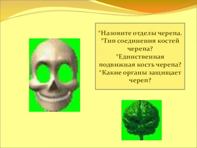*Назовите отделы черепа. *Тип соединения костей черепа? *Единственная подвижная кость черепа? *Какие органы защищает череп?