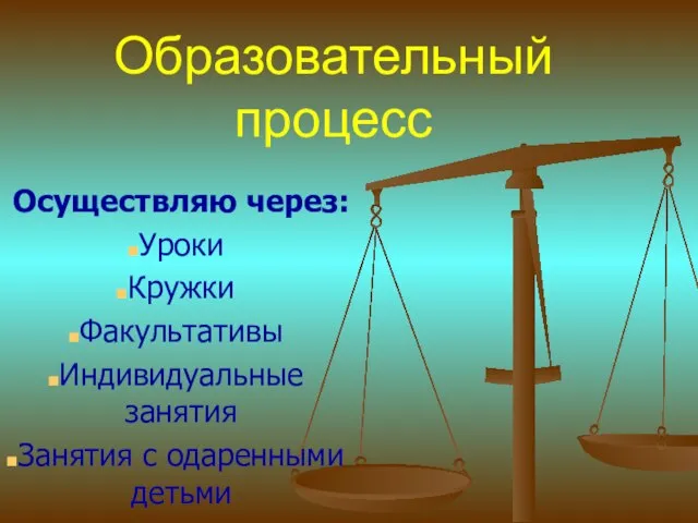 Образовательный процесс Осуществляю через: Уроки Кружки Факультативы Индивидуальные занятия Занятия с одаренными детьми