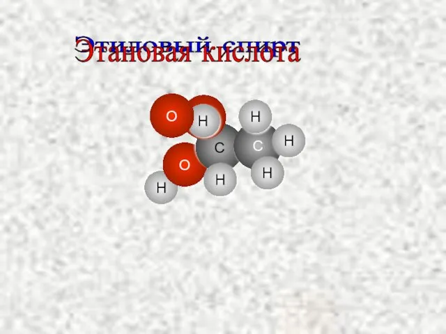 H O C O C H H H Этиловый спирт H H Этановая кислота O