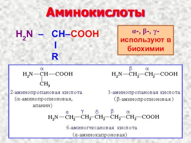 Аминокислоты α-, β-, γ- используют в биохимии