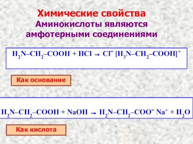 Химические свойства Аминокислоты являются амфотерными соединениями H2N–CH2–COOH + HCl → Cl− [H3N–CH2–COOH]+