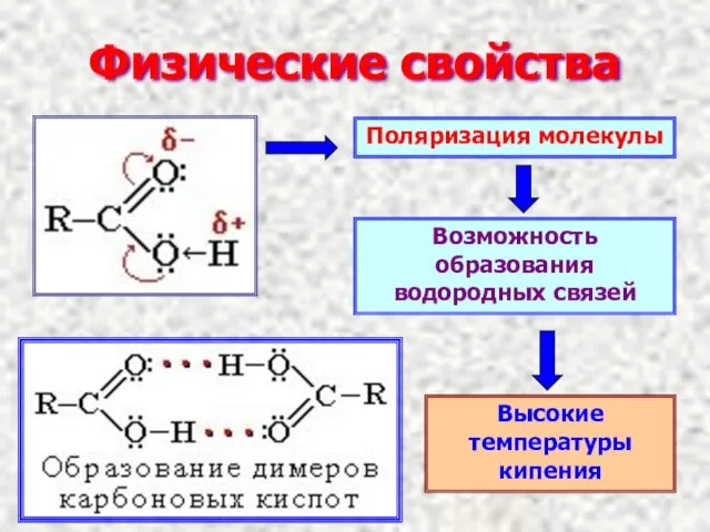 Физические свойства Поляризация молекулы Возможность образования водородных связей Высокие температуры кипения