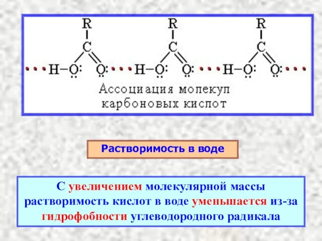 Растворимость в воде С увеличением молекулярной массы растворимость кислот в воде уменьшается из-за гидрофобности углеводородного радикала