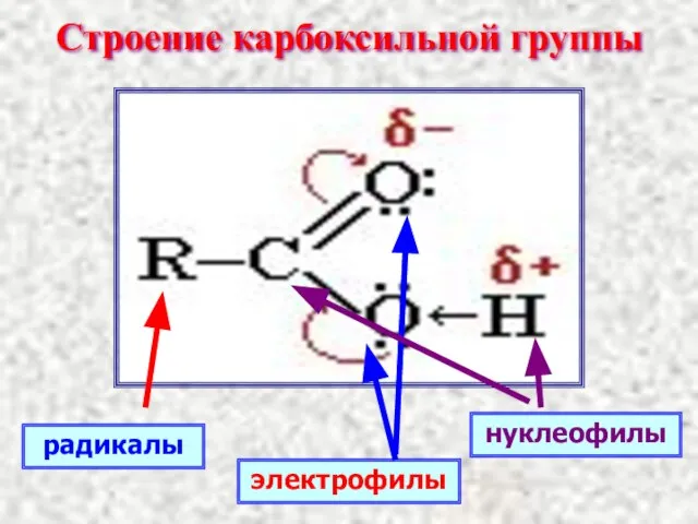 Строение карбоксильной группы радикалы нуклеофилы электрофилы