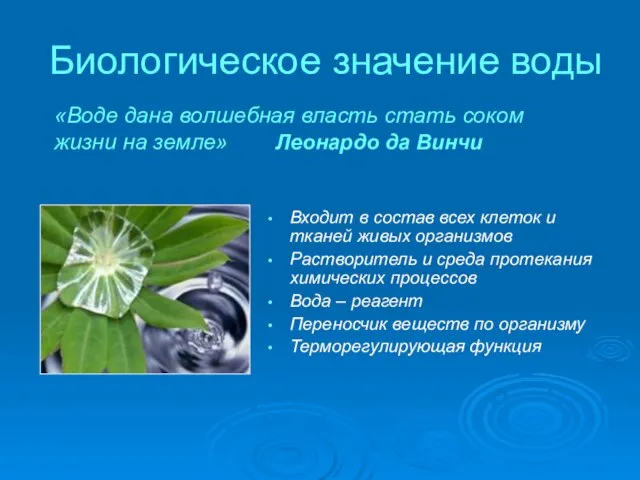 Биологическое значение воды Входит в состав всех клеток и тканей живых организмов