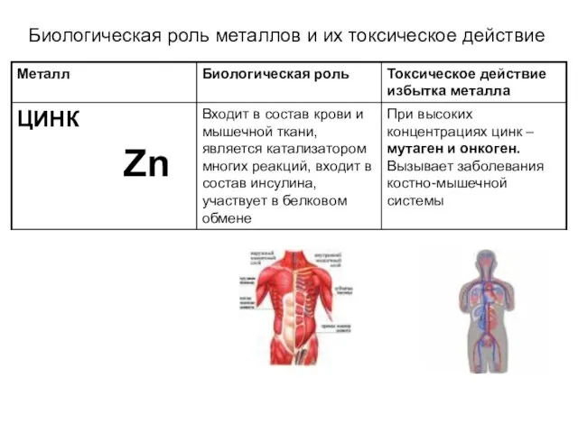 Биологическая роль металлов и их токсическое действие