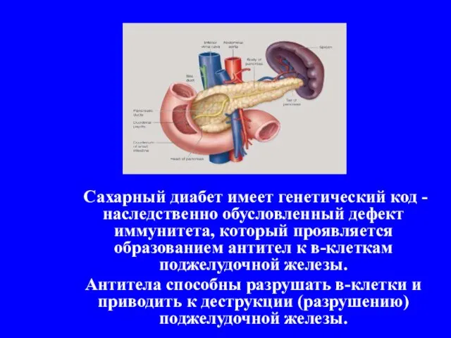 Сахарный диабет имеет генетический код - наследственно обусловленный дефект иммунитета, который проявляется