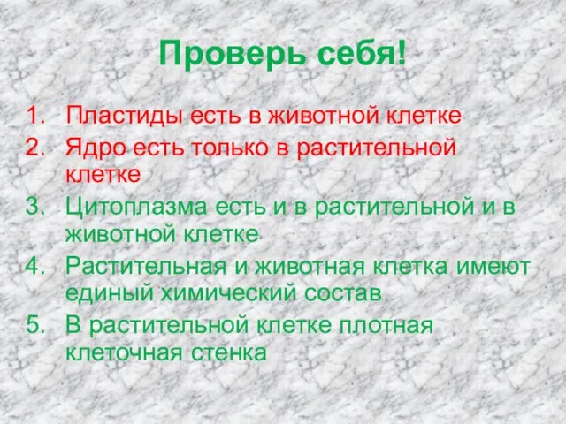 Проверь себя! Пластиды есть в животной клетке Ядро есть только в растительной