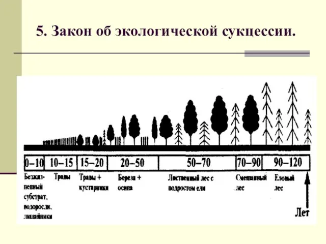 5. Закон об экологической сукцессии.