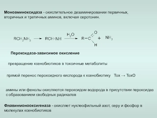 Пероксидаза-зависимое окисление превращение ксенобиотиков в токсичные метаболиты прямой перенос пероксидного кислорода к