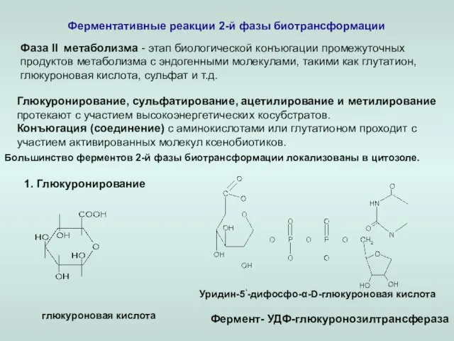 Ферментативные реакции 2-й фазы биотрансформации Фаза ll метаболизма - этап биологической конъюгации